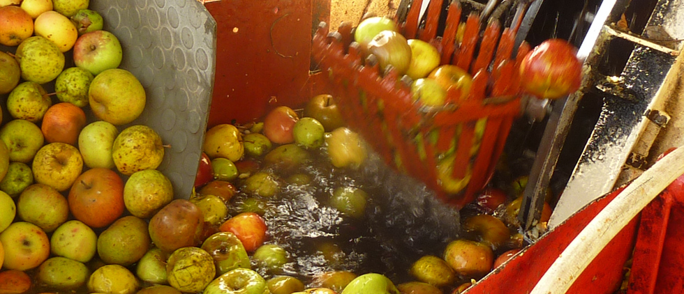 La qualité et la propreté des pommes influent sur le goût du jus