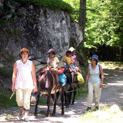 une rando avec ane et enfant en ariege pyrenees