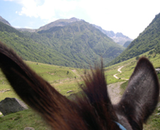 paysage de la Réserve d'Orlu