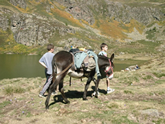 randonnée avec un âne à l'étang d'Appy