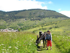 en randonnée au dessus de Prades
