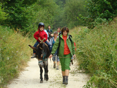 en route pour une rando avec les ânes!