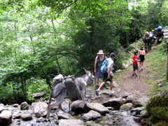 randonnée en montagne: l'âne traverse un petit ruisseau