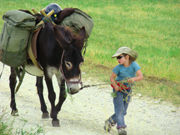 vacances avec ane et enfant