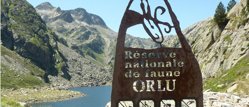 randonnée avec un âne sur le plateau du Chioula Ariège Pyrénées