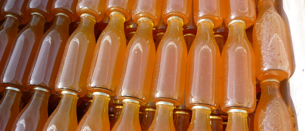 Après pasteurisation, le jus est conditionné en bouteille ou en cubis