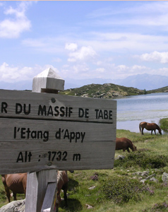 Etang d'Appy en Haute Ariege, a 2h30 de marche du gîte : un très beau panorama sur les pyrénées et les vallées d'Ax.