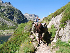 randonne avec un ane reserve d'Orlu